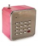 WSTER WS-595RC портативный радиоприемник с записью